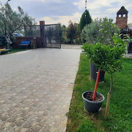 Jone * Golem (Tirana)